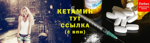 дживик Тайга