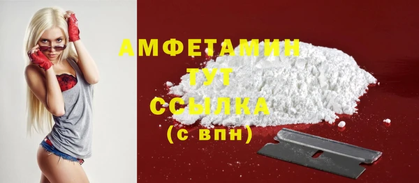 ECSTASY Богородицк