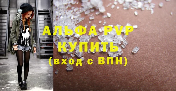 ECSTASY Богородицк