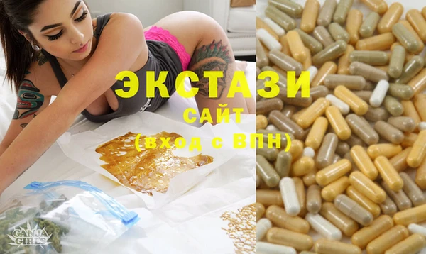 ECSTASY Богородицк