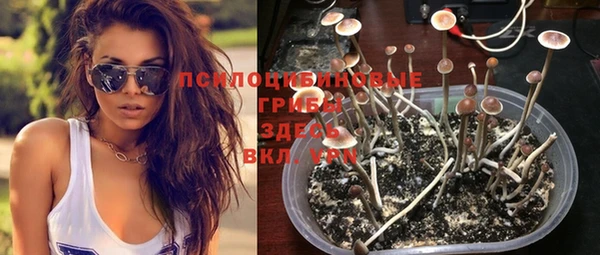 мяу мяу кристалл Богданович