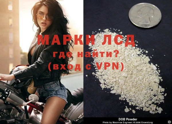ECSTASY Богородицк